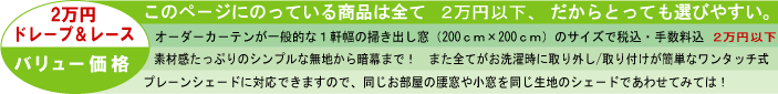 カーテンオーダー2万円以下レースページ