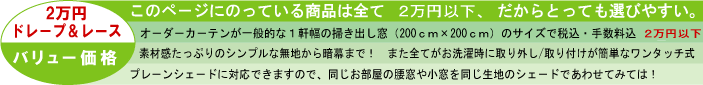 カーテンオーダー2万円以下ドレープページ