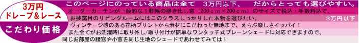 カーテンオーダー3万円以下ドレープページ