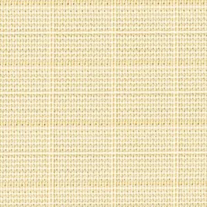 25010
